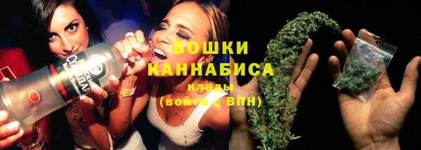 шишки Зеленокумск
