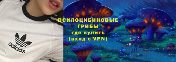 шишки Зеленокумск