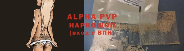 стафф Зерноград