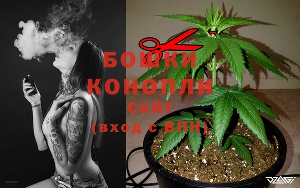 стафф Зерноград