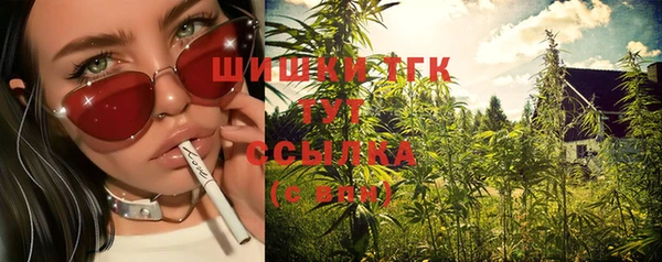 стафф Зерноград