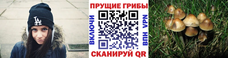 Купить где  Видное  Псилоцибиновые грибы MAGIC MUSHROOMS 